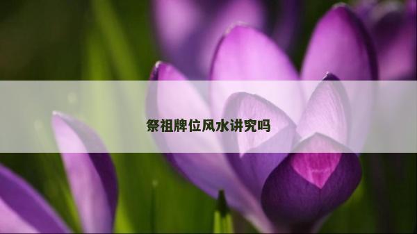 祭祖牌位風水講究嗎 祭祖牌位風水講究嗎