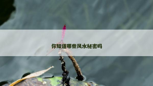 你知道哪些風水秘密嗎