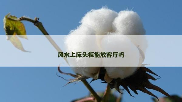 風(fēng)水上床頭柜能放客廳嗎