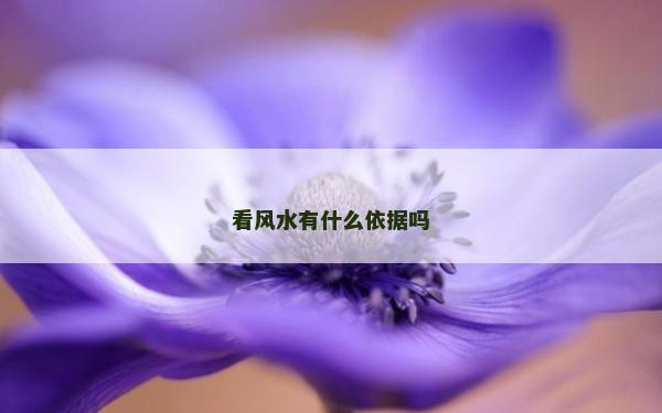 看風(fēng)水有什么依據(jù)嗎 看風(fēng)水有什么依據(jù)嗎