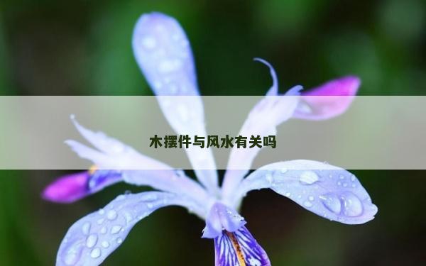 木擺件與風水有關嗎 木擺件與風水有關嗎