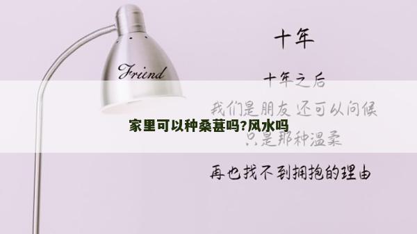 家里可以種桑葚嗎?風水嗎 家里可以種桑葚嗎?風水嗎
