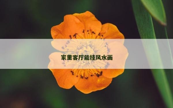 家里客廳能掛風(fēng)水畫