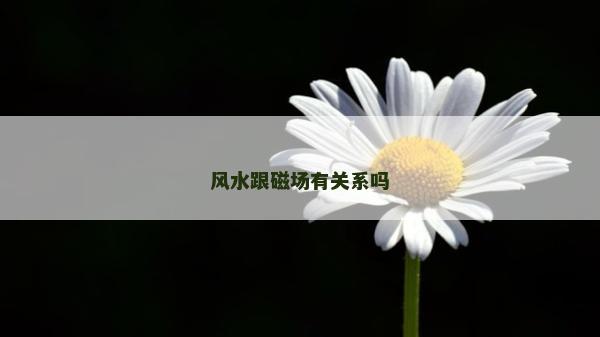 風水跟磁場有關系嗎