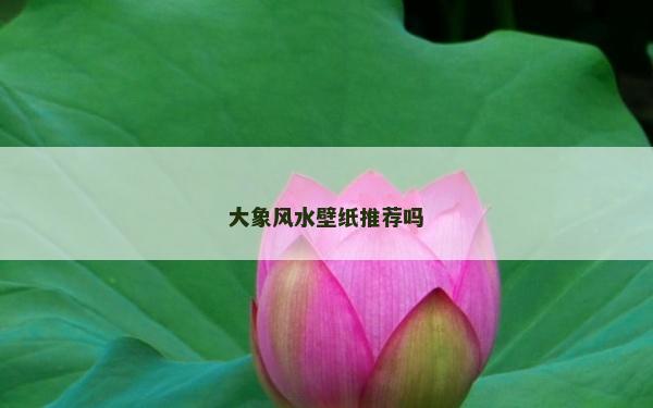 大象風水壁紙推薦嗎