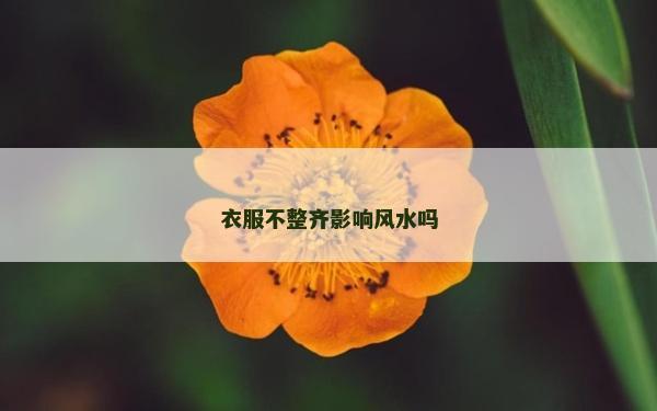 衣服不整齊影響風水嗎