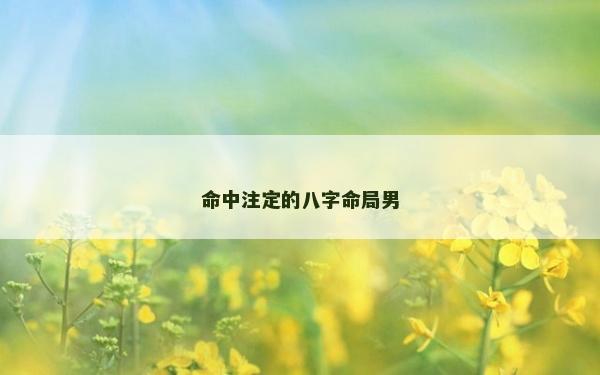 命中注定的八字命局男 命中注定的八字命局男