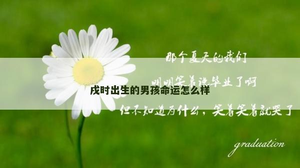 戌時(shí)出生的男孩命運(yùn)怎么樣