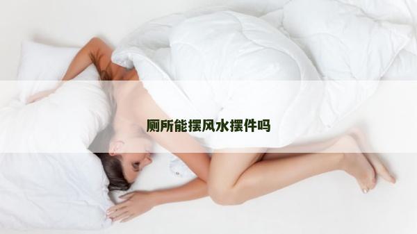 廁所能擺風(fēng)水?dāng)[件嗎