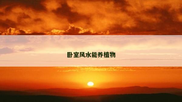 臥室風(fēng)水能養(yǎng)植物