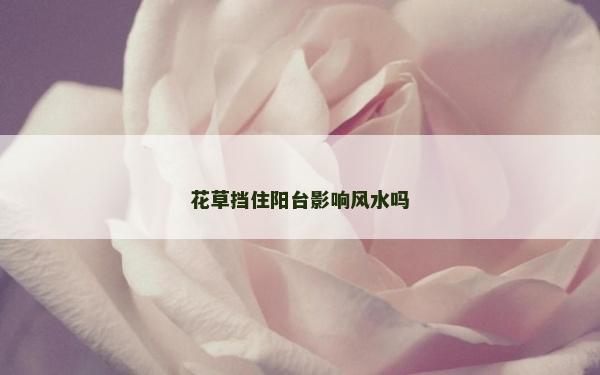 花草擋住陽臺(tái)影響風(fēng)水嗎