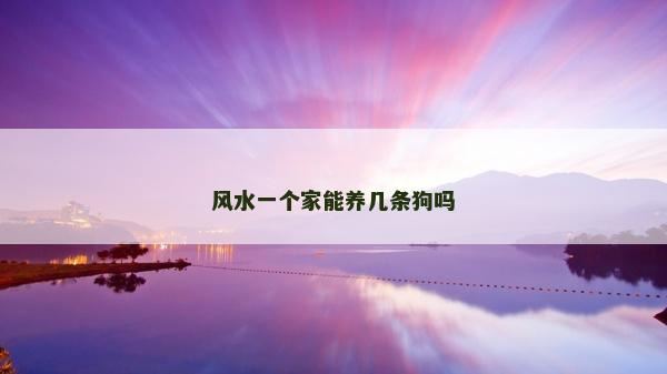 風水一個家能養幾條狗嗎 風水一個家能養幾條狗嗎