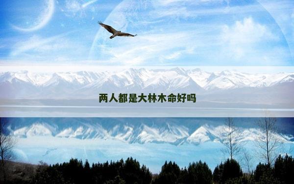 兩人都是大林木命好嗎