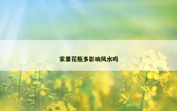 家里花瓶多影響風水嗎 家里花瓶多影響風水嗎