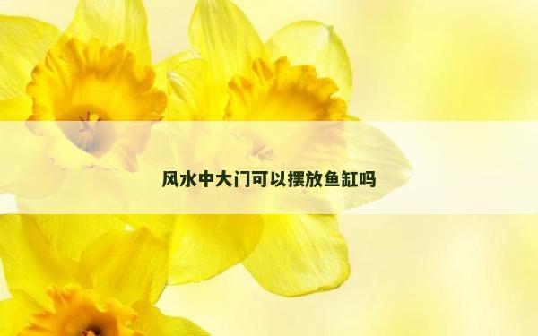 風(fēng)水中大門可以擺放魚缸嗎