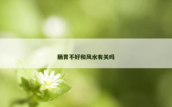 腸胃不好和風水有關嗎 腸胃不好和風水有關嗎