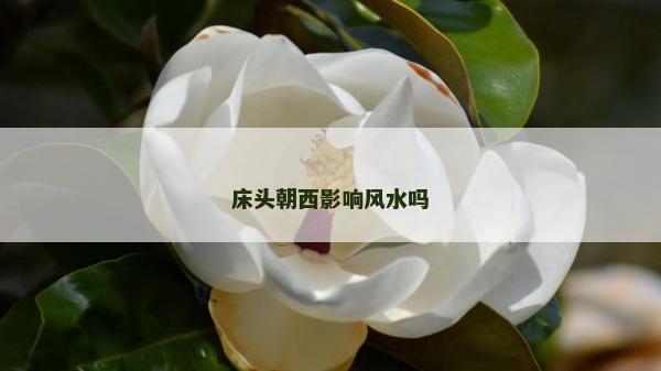 床頭朝西影響風水嗎 床頭朝西影響風水嗎