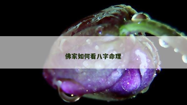 佛家如何看八字命理