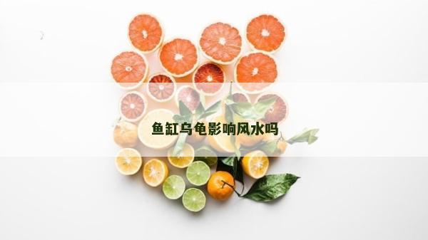 魚缸烏龜影響風水嗎