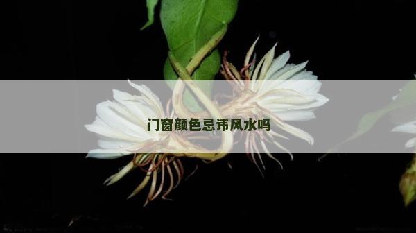 門窗顏色忌諱風水嗎