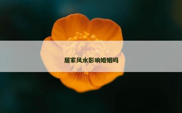 居家風水影響婚姻嗎
