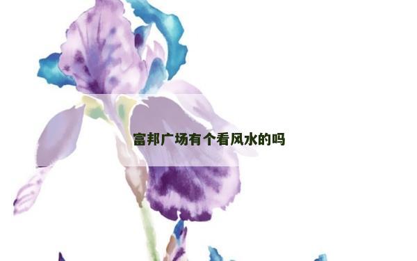 富邦廣場有個看風水的嗎