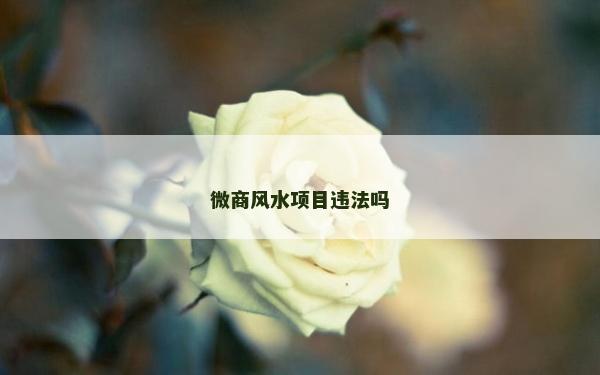 微商風水項目違法嗎