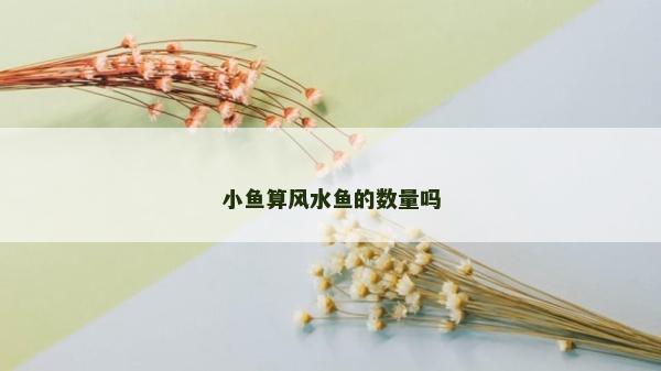 小魚算風(fēng)水魚的數(shù)量嗎