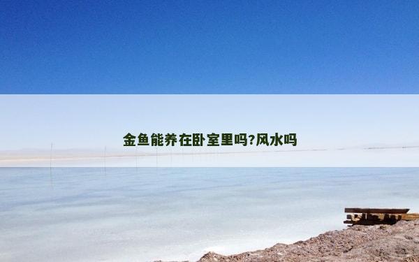 金魚能養在臥室里嗎?風水嗎