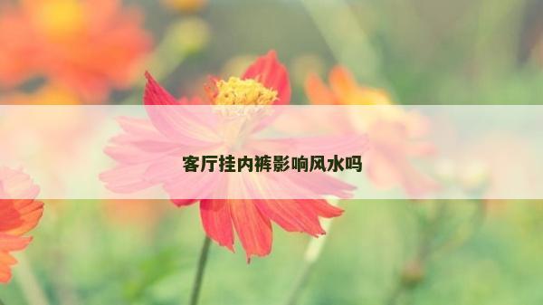 客廳掛內褲影響風水嗎 客廳掛內褲影響風水嗎