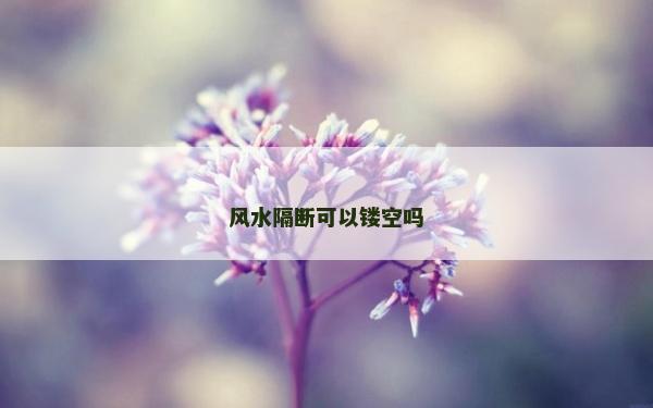 風水隔斷可以鏤空嗎