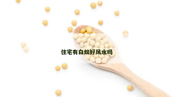 住宅有白蟻好風(fēng)水嗎