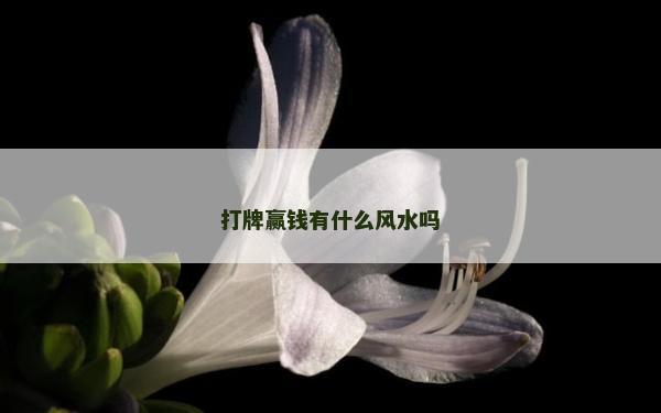 打牌贏錢有什么風水嗎