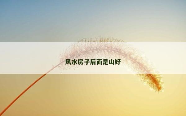 風水房子后面是山好