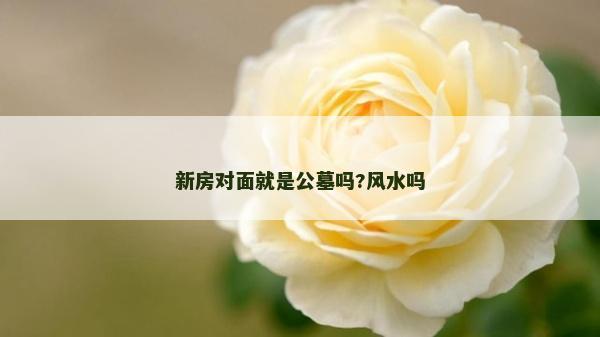 新房對面就是公墓嗎?風水嗎 新房對面就是公墓嗎?風水嗎