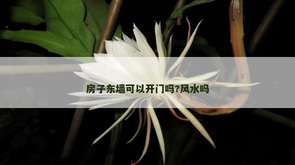 房子?xùn)|墻可以開(kāi)門(mén)嗎?風(fēng)水嗎