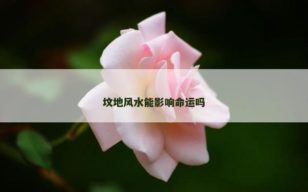 墳地風水能影響命運嗎