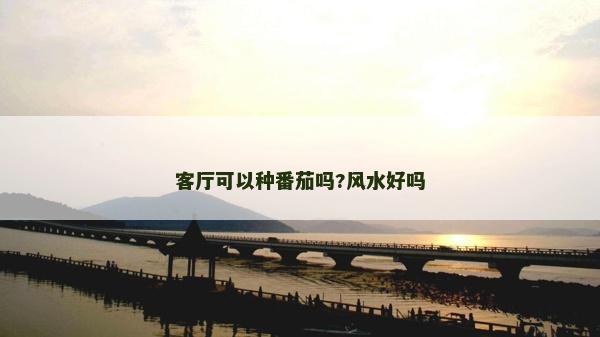 客廳可以種番茄嗎?風水好嗎 客廳可以種番茄嗎?風水好嗎