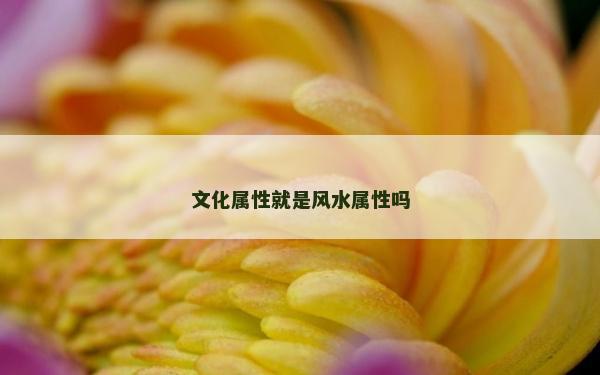 文化屬性就是風水屬性嗎