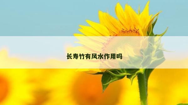 長壽竹有風水作用嗎