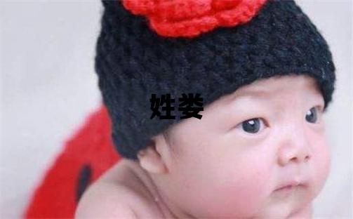 姓婁叫什么名字好 姓婁的女孩吉利的名字