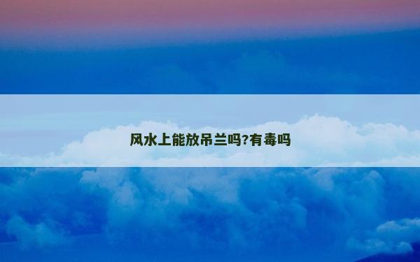 風水上能放吊蘭嗎?有毒嗎