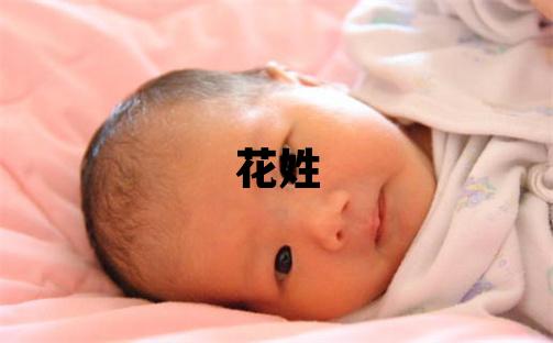 花姓取名洋氣的男寶寶名字