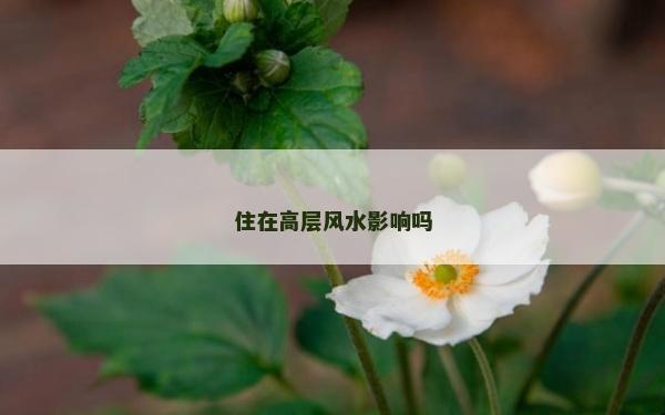 住在高層風水影響嗎 住在高層風水影響嗎