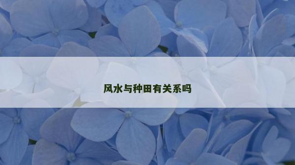 風(fēng)水與種田有關(guān)系嗎
