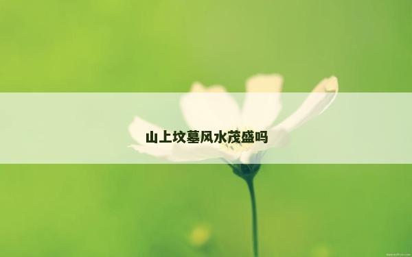 山上墳?zāi)癸L(fēng)水茂盛嗎