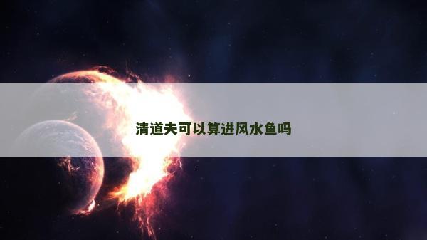 清道夫可以算進(jìn)風(fēng)水魚嗎