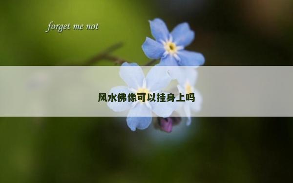 風(fēng)水佛像可以掛身上嗎 風(fēng)水佛像可以掛身上嗎