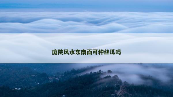 庭院風(fēng)水東南面可種絲瓜嗎