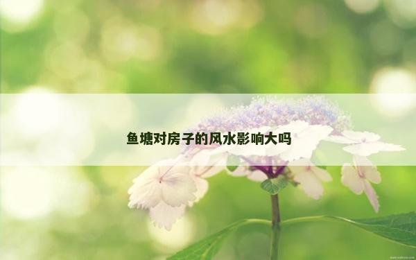 魚塘對房子的風水影響大嗎